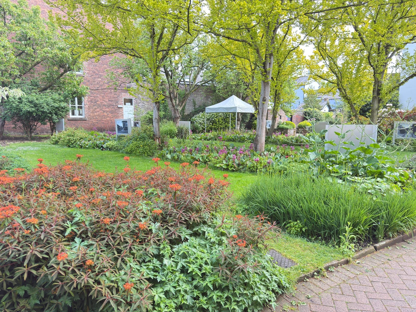 The museum garden at Tullie House